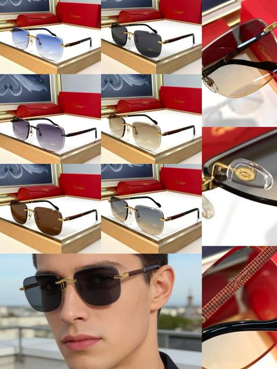 Picture of Cartier Sunglasses _SKUfw79616056fw